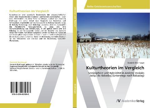 Kulturtheorien im Vergleich