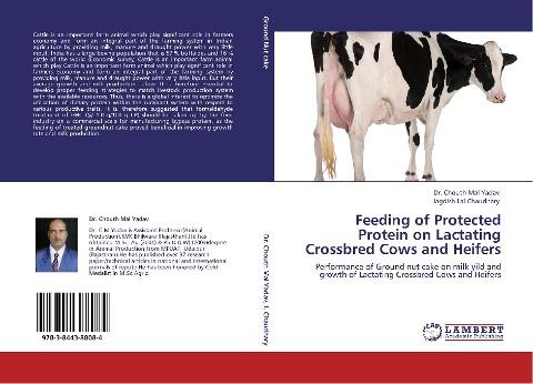 Feeding of Protected Protein on Lactating Crossbred Cows and Heifers