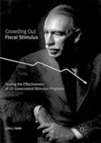 Crowding Out Fiscal Stimulus