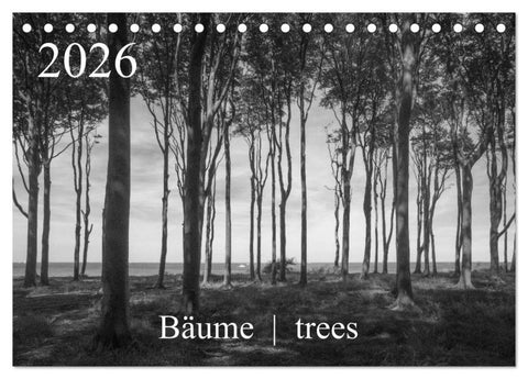 Bäume trees 2026 (Tischkalender 2026 DIN A5 quer), CALVENDO Monatskalender