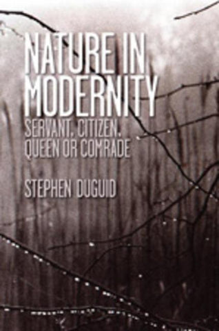Nature in Modernity