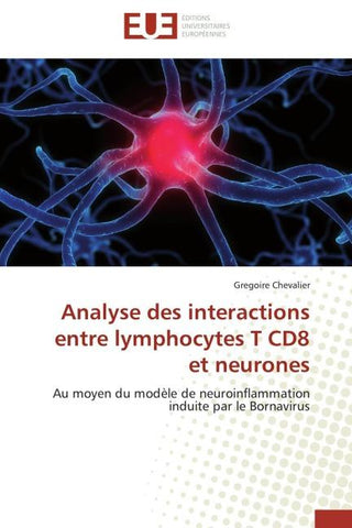 Analyse des interactions entre lymphocytes T CD8 et neurones