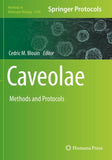 Caveolae