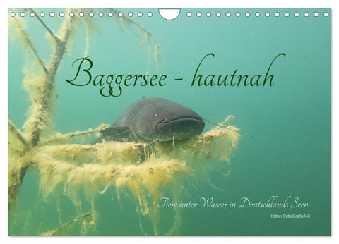 Baggersee -hautah (Wandkalender 2026 DIN A4 quer), CALVENDO Monatskalender