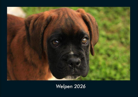 Welpen 2026 Fotokalender DIN A4