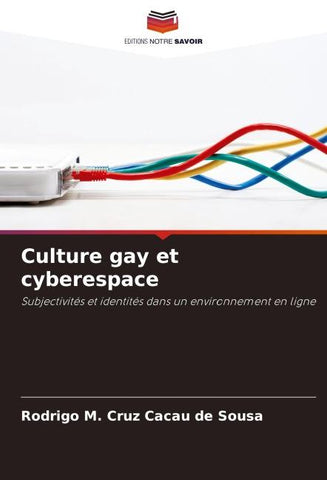 Culture gay et cyberespace