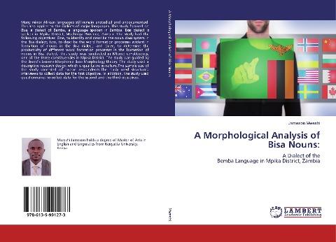 A Morphological Analysis of Bisa Nouns:
