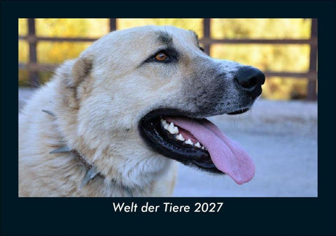 Welt der Tiere 2027 Fotokalender DIN A5