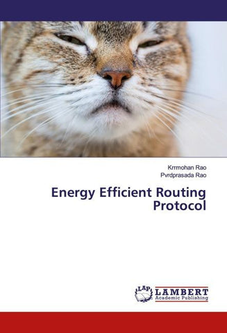 Energy Efficient Routing Protocol
