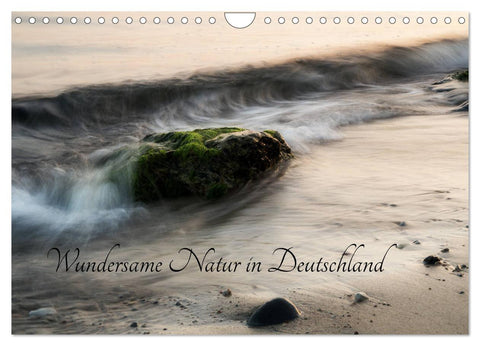 Wundersame Natur in Deutschland (Wandkalender 2026 DIN A4 quer), CALVENDO Monatskalender