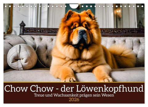 Chow Chow - der Löwenkopfhund (Wandkalender 2026 DIN A4 quer), CALVENDO Monatskalender