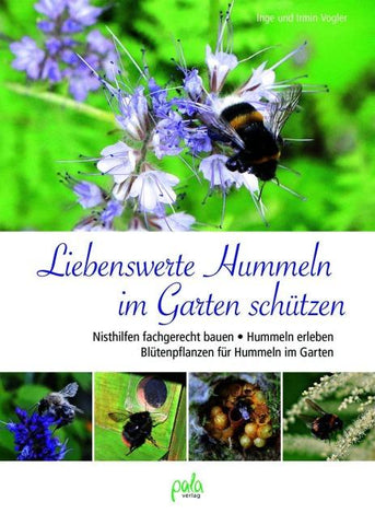 Liebenswerte Hummeln im Garten schützen