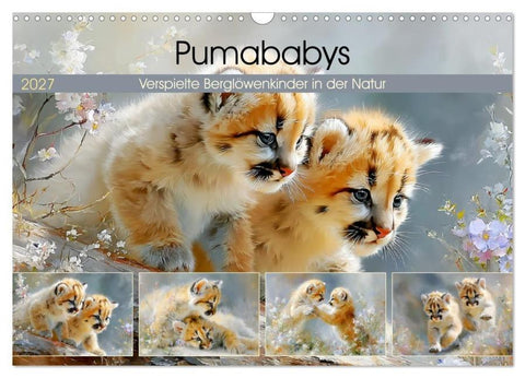 Pumababys. Verspielte Berglöwenkinder in der Natur (Wandkalender 2027 DIN A3 quer), CALVENDO Monatskalender