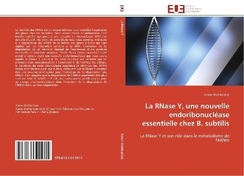 La RNase Y, une nouvelle endoribonucléase essentielle chez B. subtilis