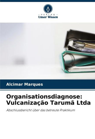 Organisationsdiagnose: Vulcanização Tarumã Ltda