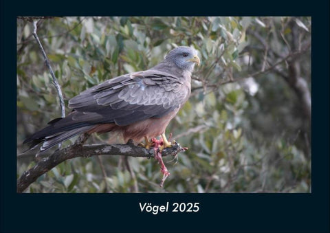 Vögel 2025 Fotokalender DIN A4