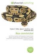 Boa constrictor