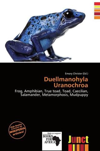 Duellmanohyla Uranochroa