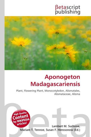 Aponogeton Madagascariensis