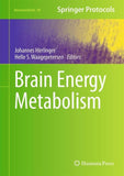 Brain Energy Metabolism