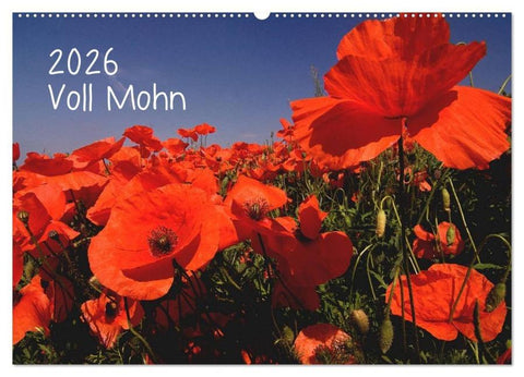 Voll Mohn (Wandkalender 2026 DIN A2 quer), CALVENDO Monatskalender