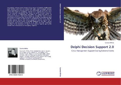 Delphi Decision Support 2.0