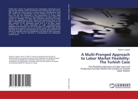 A Multi-Pronged Approach to Labor Market Flexibility: The Turkish Case