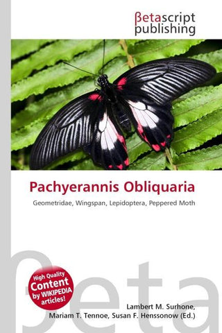 Pachyerannis Obliquaria