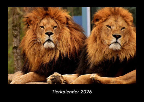 Tierkalender 2026 Fotokalender DIN A3