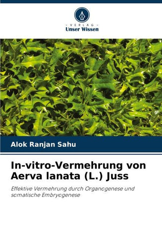 In-vitro-Vermehrung von Aerva lanata (L.) Juss