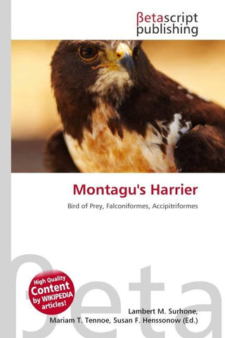 Montagu's Harrier