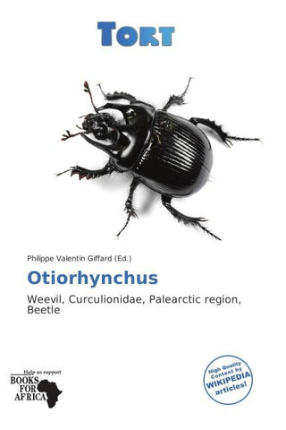 Otiorhynchus