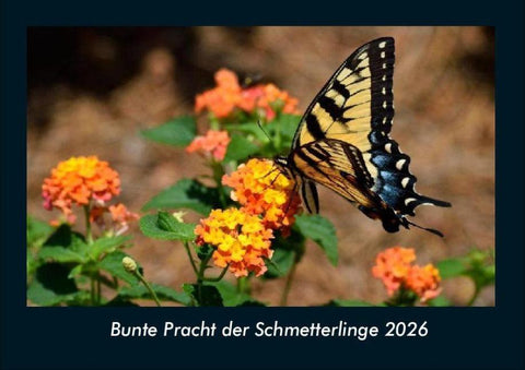 Bunte Pracht der Schmetterlinge 2026 Fotokalender DIN A4