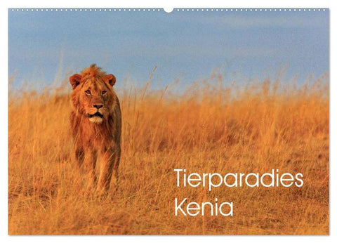 Tierparadies Kenia (Wandkalender 2026 DIN A2 quer), CALVENDO Monatskalender