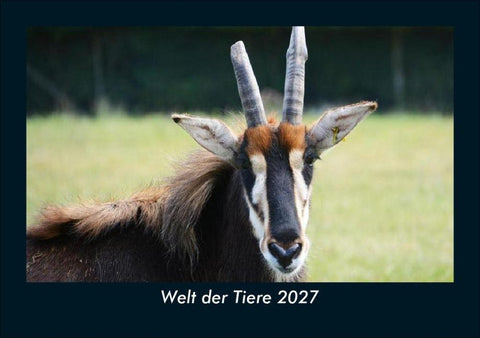 Welt der Tiere 2027 Fotokalender DIN A5