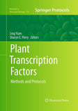 Plant Transcription Factors