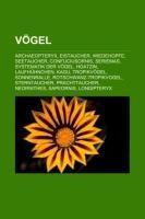 Vögel