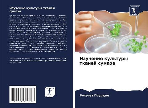 Izuchenie kul'tury tkanej sumaha