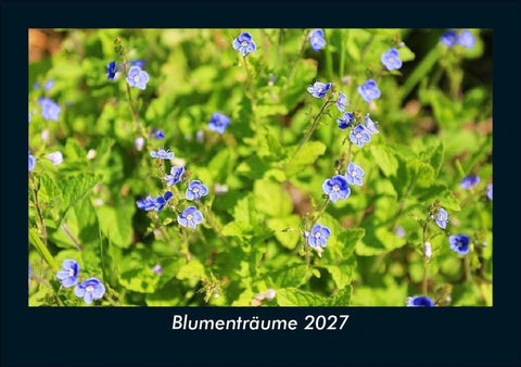 Blumenträume 2027 Fotokalender DIN A5