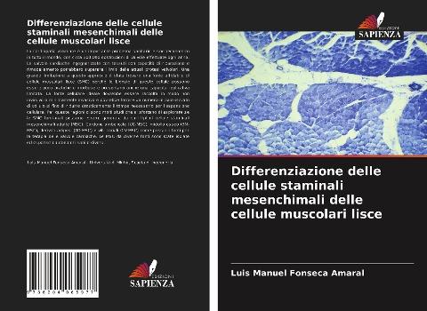 Differenziazione delle cellule staminali mesenchimali delle cellule muscolari lisce