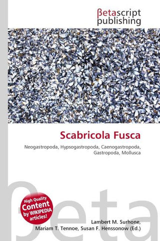 Scabricola Fusca