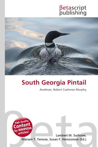 South Georgia Pintail