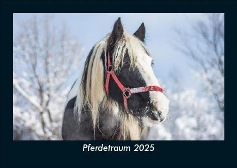 Pferdetraum 2025 Fotokalender DIN A5