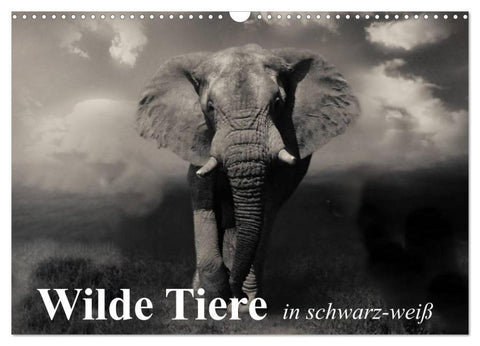 Wilde Tiere in schwarz-weiß (Wandkalender 2026 DIN A3 quer), CALVENDO Monatskalender