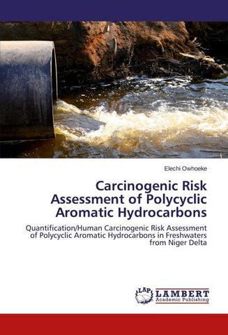 Carcinogenic Risk Assessment of Polycyclic Aromatic Hydrocarbons