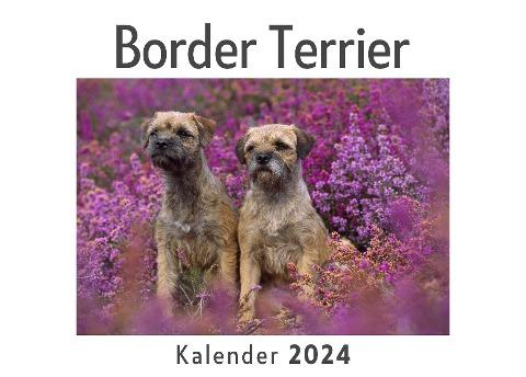 Border Terrier (Wandkalender 2024, Kalender DIN A4 quer, Monatskalender im Querformat mit Kalendarium, Das perfekte Geschenk)
