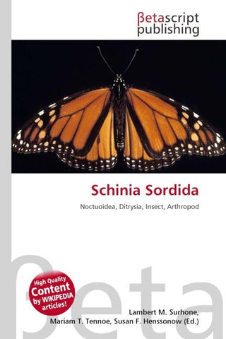 Schinia Sordida