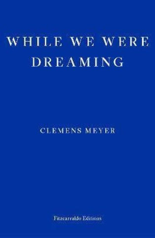 While We Were Dreaming