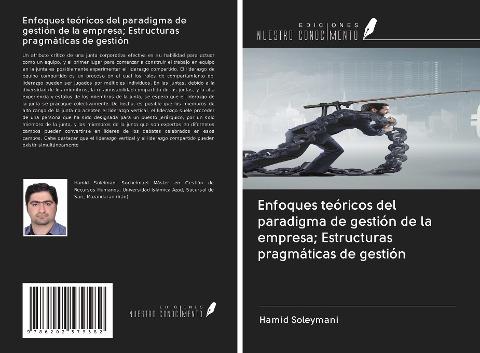 Enfoques teóricos del paradigma de gestión de la empresa; Estructuras pragmáticas de gestión