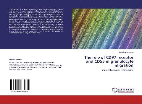 The role of CD97 receptor and CD55 in granulocyte migration